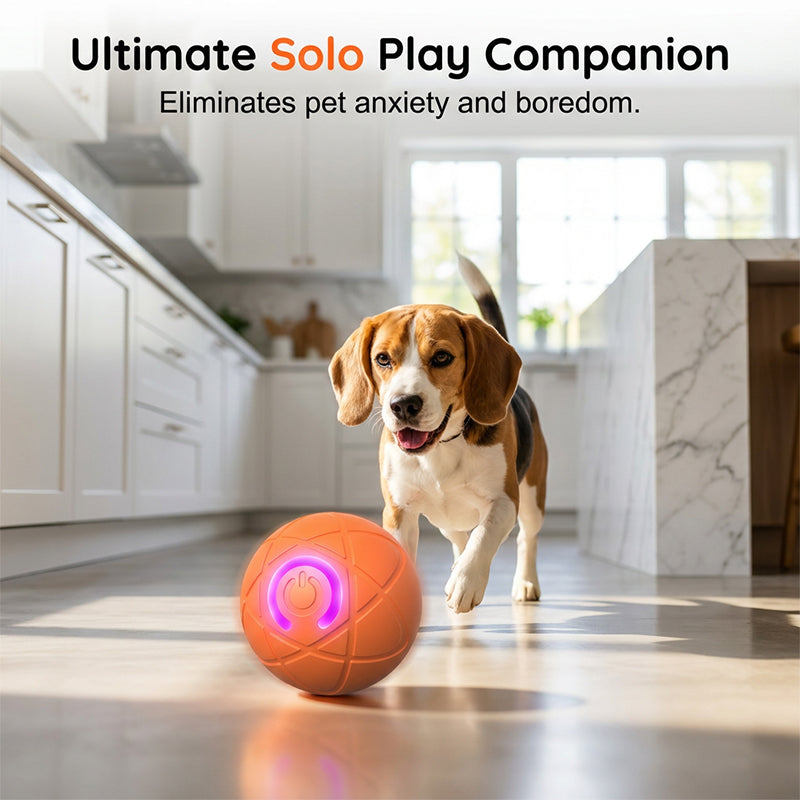 ⏰🔥BEGRENSET TID 50 % RABATT!🔥50 000+ SOLGT! 🐾 AUTOMATISK SPRETTENDE SMART KJÆLEDYRBALL MED FJERNKONTROLL – 3 interaktive moduser | Tyggesikker E-TPU | USB-C oppladbar 🎾