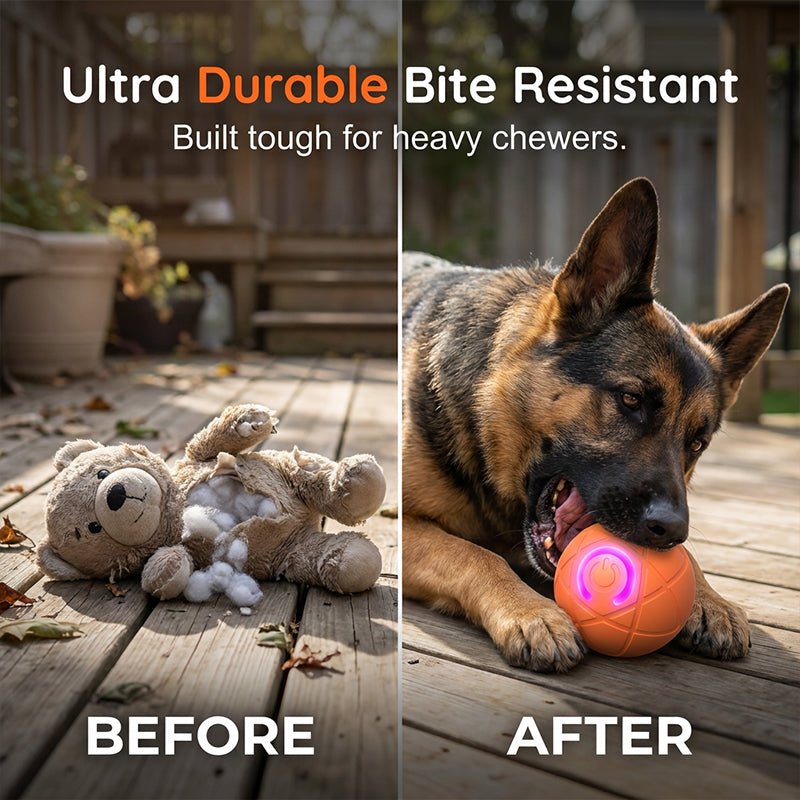 ⏰🔥BEGRENSET TID 50 % RABATT!🔥50 000+ SOLGT! 🐾 AUTOMATISK SPRETTENDE SMART KJÆLEDYRBALL MED FJERNKONTROLL – 3 interaktive moduser | Tyggesikker E-TPU | USB-C oppladbar 🎾