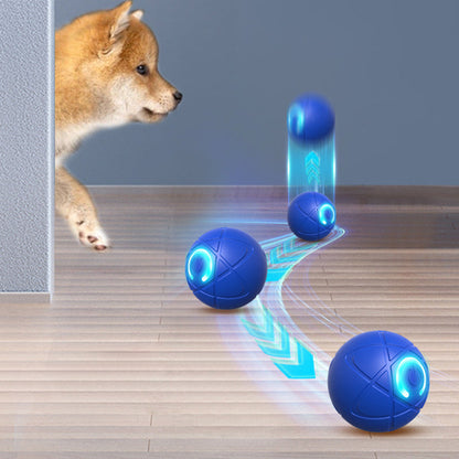 ⏰🔥BEGRENSET TID 50 % RABATT!🔥50 000+ SOLGT! 🐾 AUTOMATISK SPRETTENDE SMART KJÆLEDYRBALL MED FJERNKONTROLL – 3 interaktive moduser | Tyggesikker E-TPU | USB-C oppladbar 🎾