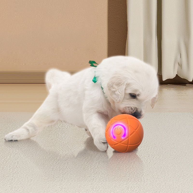 ⏰🔥BEGRENSET TID 50 % RABATT!🔥50 000+ SOLGT! 🐾 AUTOMATISK SPRETTENDE SMART KJÆLEDYRBALL MED FJERNKONTROLL – 3 interaktive moduser | Tyggesikker E-TPU | USB-C oppladbar 🎾