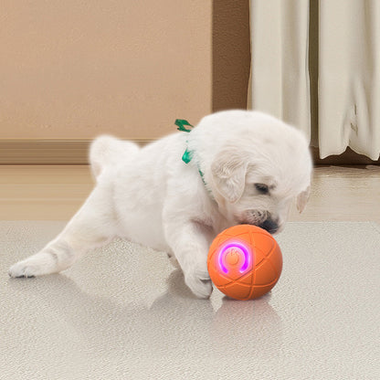 ⏰🔥BEGRENSET TID 50 % RABATT!🔥50 000+ SOLGT! 🐾 AUTOMATISK SPRETTENDE SMART KJÆLEDYRBALL MED FJERNKONTROLL – 3 interaktive moduser | Tyggesikker E-TPU | USB-C oppladbar 🎾