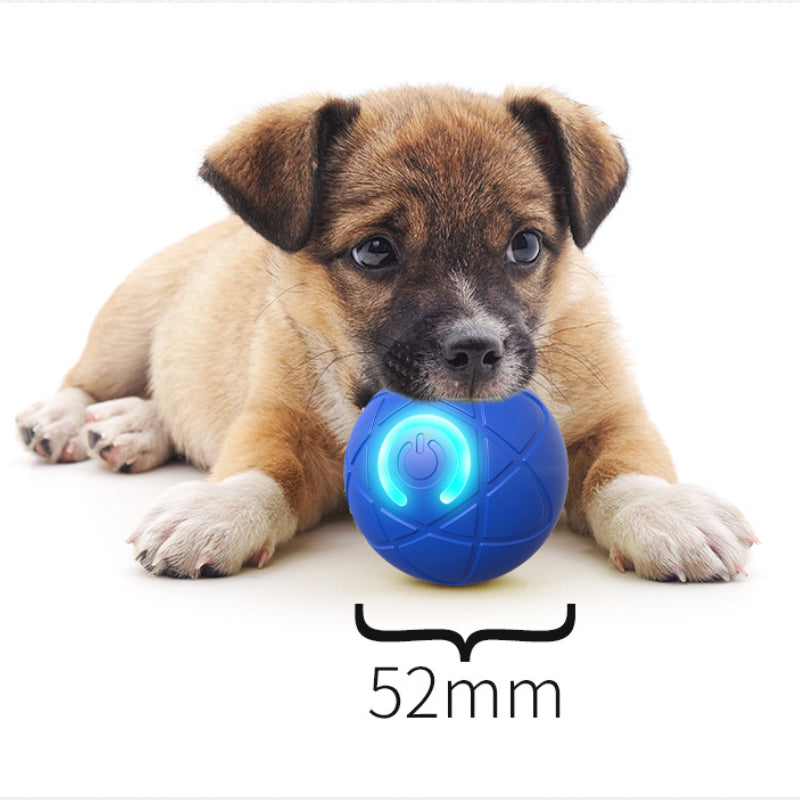 ⏰🔥BEGRENSET TID 50 % RABATT!🔥50 000+ SOLGT! 🐾 AUTOMATISK SPRETTENDE SMART KJÆLEDYRBALL MED FJERNKONTROLL – 3 interaktive moduser | Tyggesikker E-TPU | USB-C oppladbar 🎾